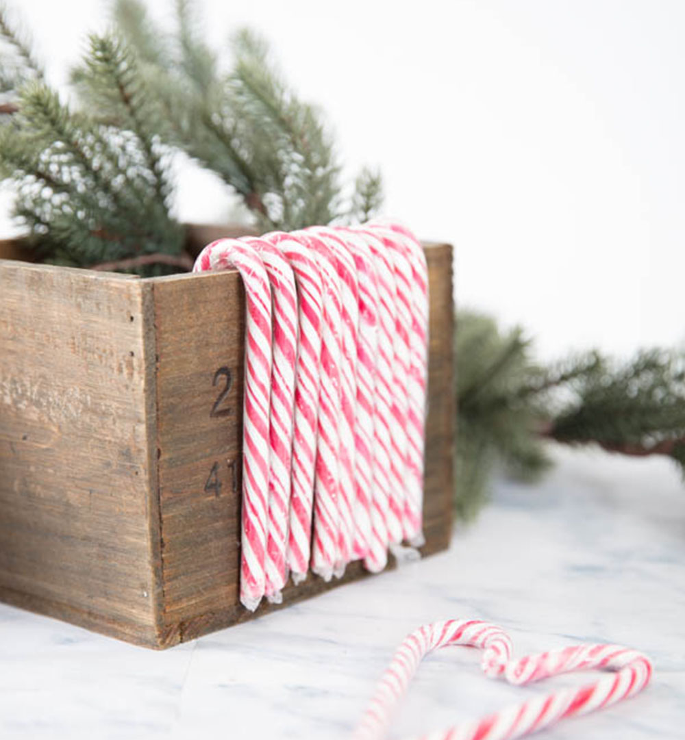 Traditionell gestreifte Zuckerstangen von Grenna Polkagriskokeri